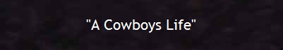 "A Cowboys Life"